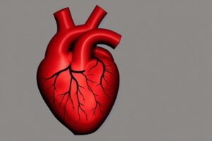 심혈관 운동 이점 및 모범 사례